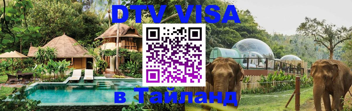 Сколько стоит DTV виза — актуальные цены, оформление даже без документов - 
